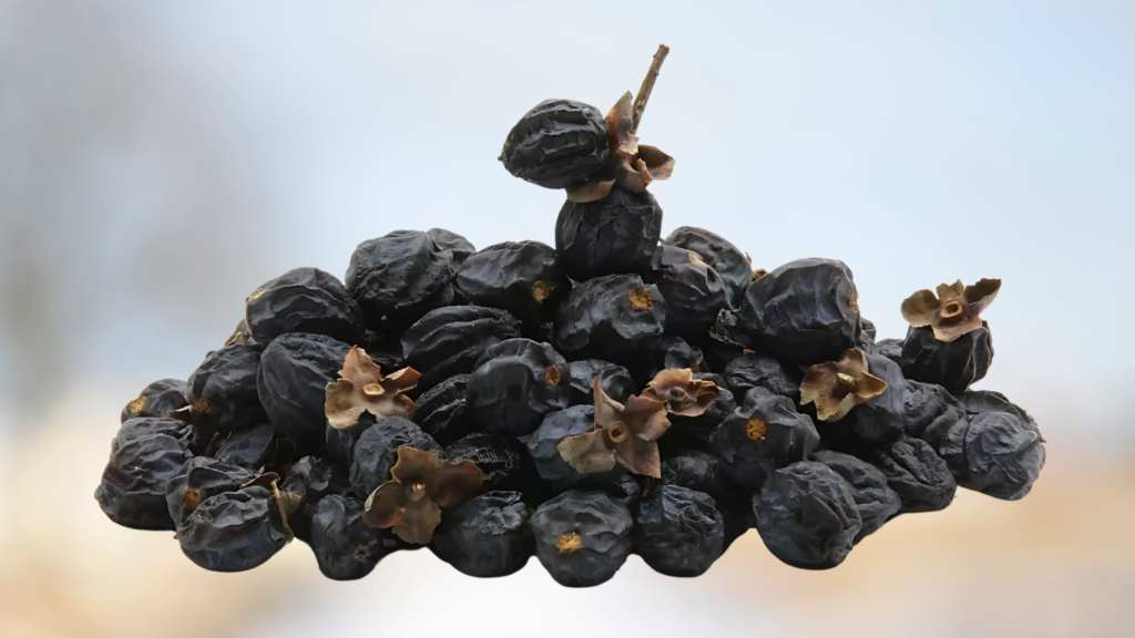 Black Amlok Fruit